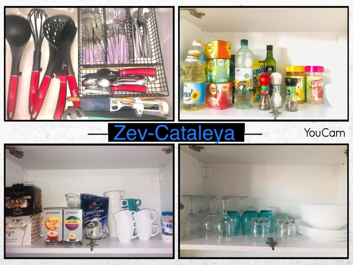 Apartmán Zev- Cataleya Mamaia Nord Năvodari Exteriér fotografie